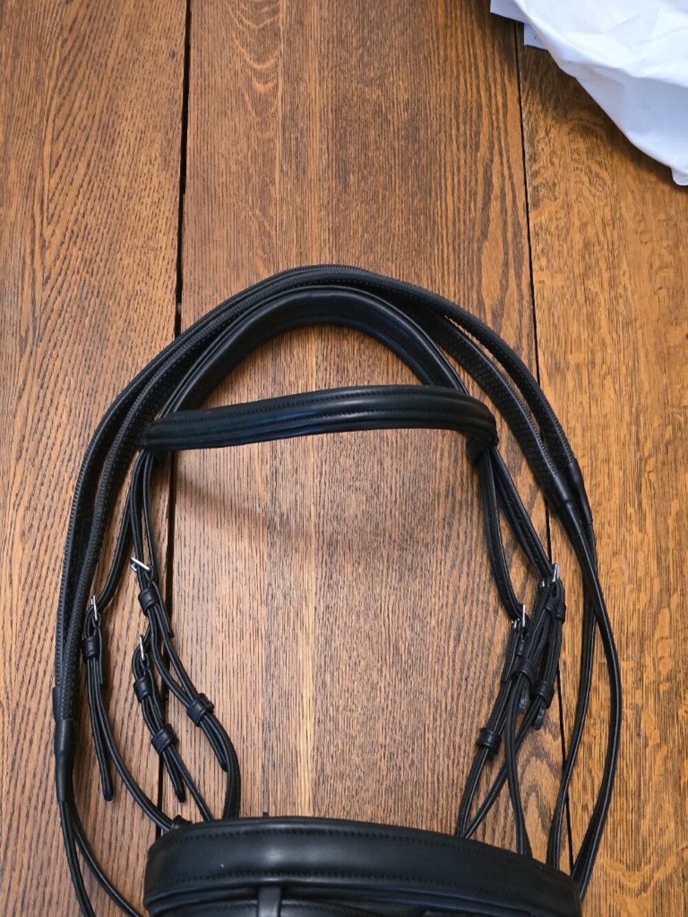 Collegiate bridle - horse size